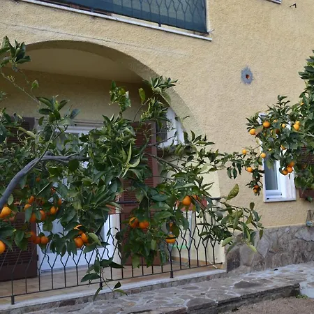 Bed & Breakfast Etesia Olbia